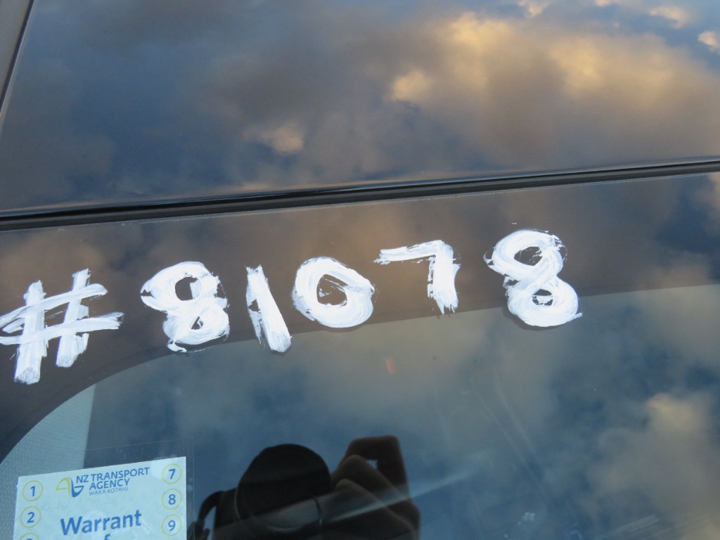 S8107819.jpg