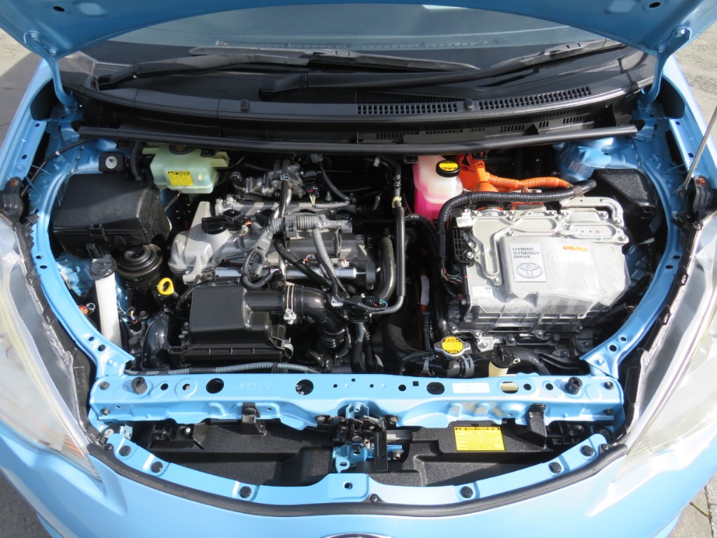 S8109119.jpg