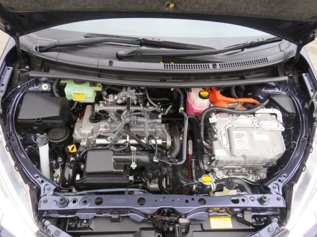 S8109220.jpg