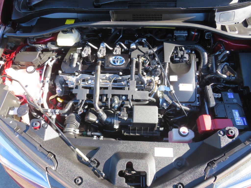 S8109720.jpg