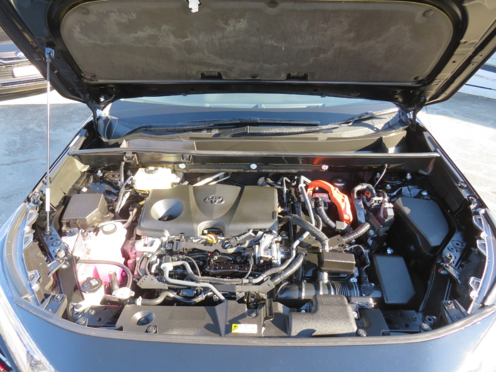 S8110820.jpg