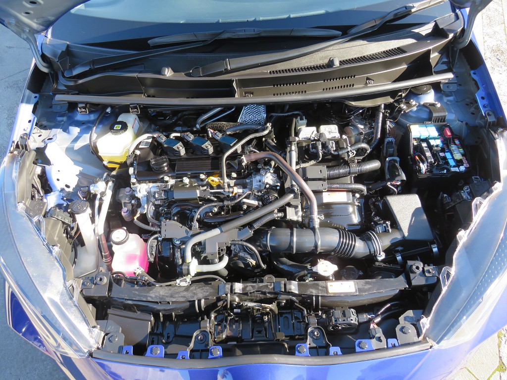 S8111020.jpg