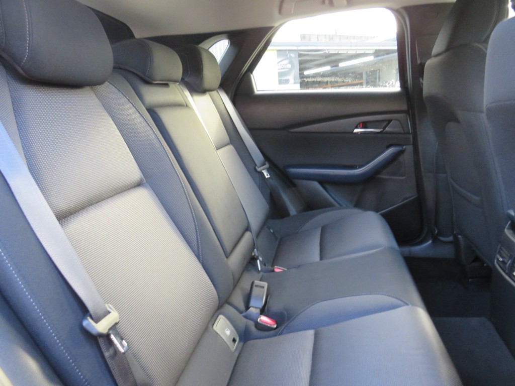 S8111611.jpg
