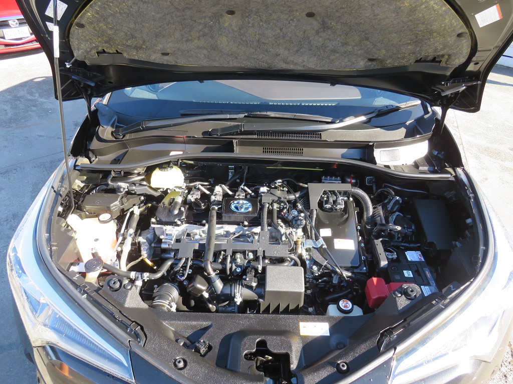 S8111919.jpg