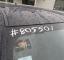 S8055021.jpg